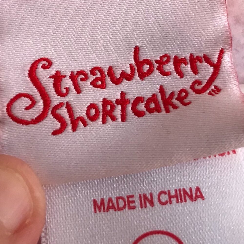 Strawberry Shortcake Hoodie LG Hot Topic - Picture 5 of 11